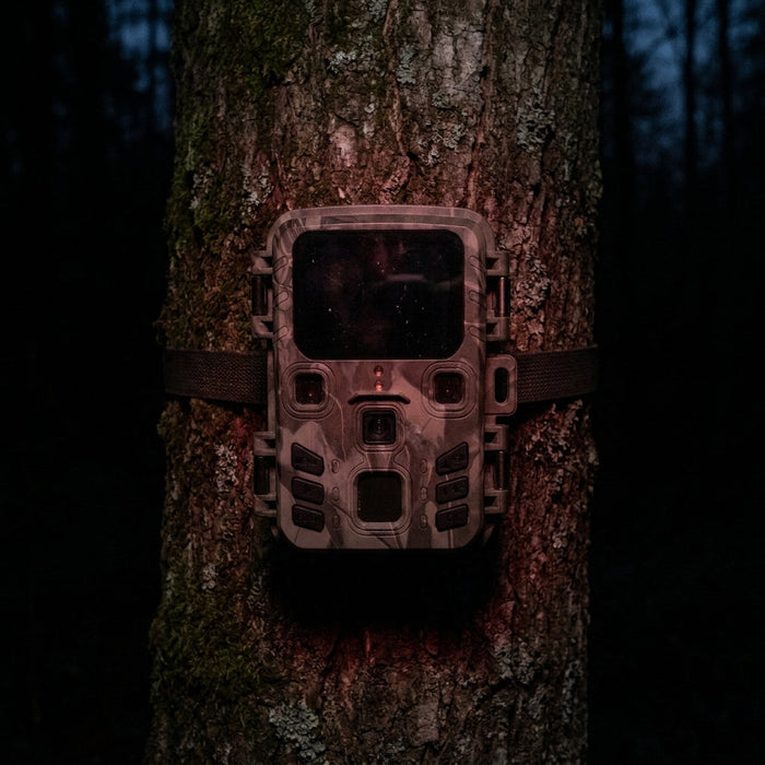 Szerokokątna fotopułapka 1080p – ekran LCD, kąt 120° i IP66